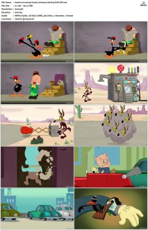 Looney Tunes Cartoons S01 REPACK XviD-AFG