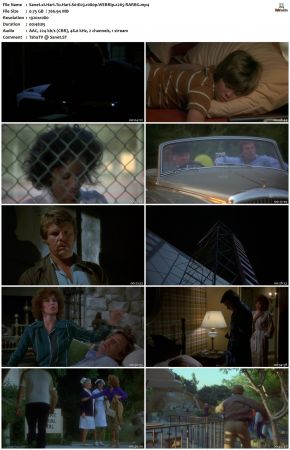 Hart To Hart S01 1080p WEBRip x265-RARBG
