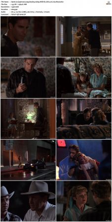 Quantum Leap S05 1080p WEB-DL DD2 0 H264-Mooi