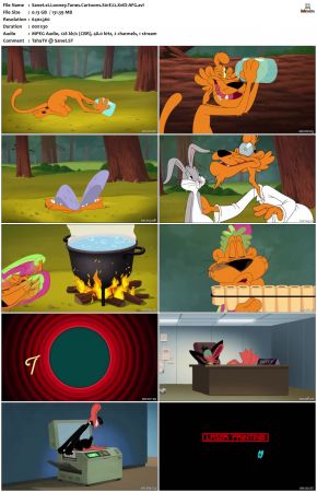 Looney Tunes Cartoons S01 REPACK XviD-AFG
