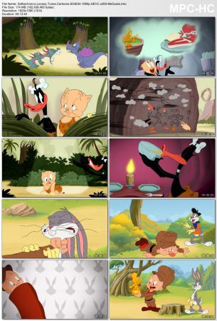 Looney Tunes Cartoons S03 1080p x265-MeGusta