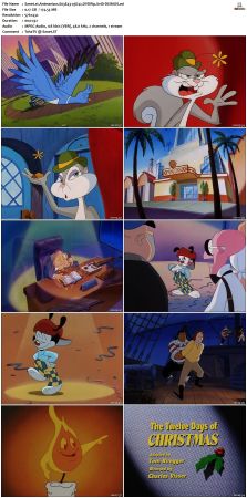 Animaniacs 1993 S03 DVDRip XviD-SAiNTS