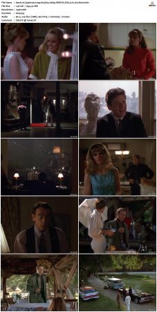 Quantum Leap S03 1080p WEB-DL DD20 H264-Mooi