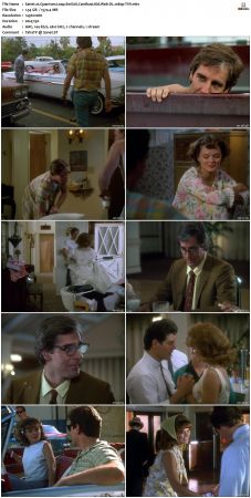 Quantum Leap S01 1080p WEB-DL AAC2.0 H264-TVV