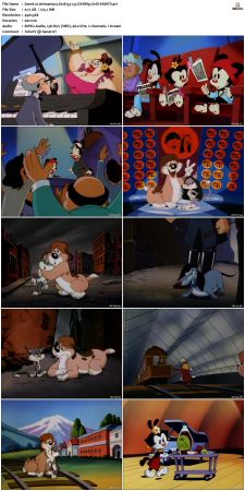 Animaniacs 1993 S01 DVDRip XviD-SAiNTS