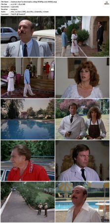 Hart To Hart S03 1080p WEBRip x265-RARBG