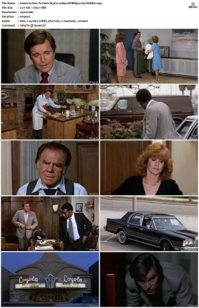 Hart To Hart S03 1080p WEBRip x265-RARBG