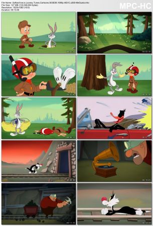 Looney Tunes Cartoons S03 1080p x265-MeGusta
