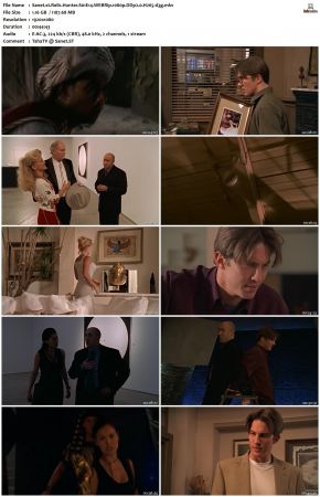 Relic Hunter S01 1080p WEBRip DDP2.0 H265-d3g