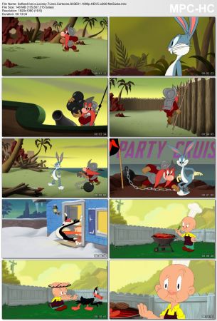 Looney Tunes Cartoons S03 1080p x265-MeGusta