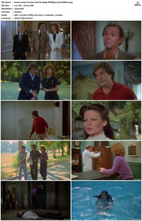 Hart To Hart S01 1080p WEBRip x265-RARBG
