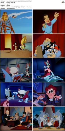 Animaniacs 1993 S01 DVDRip XviD-SAiNTS