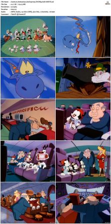 Animaniacs 1993 S01 DVDRip XviD-SAiNTS