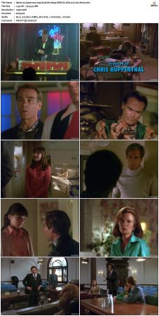 Quantum Leap S03 1080p WEB-DL DD20 H264-Mooi