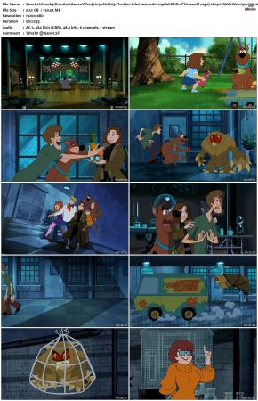 Scooby-Doo And Guess Who S02 1080p WEBRip x265 10bit Goki TAoE