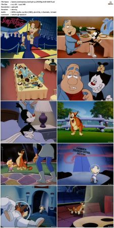 Animaniacs 1993 S01 DVDRip XviD-SAiNTS
