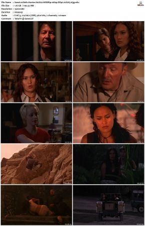 Relic Hunter S02 1080p WEBRip DDP2.0 H265-d3g