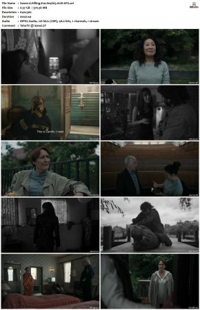 Killing Eve S04 XviD-AFG