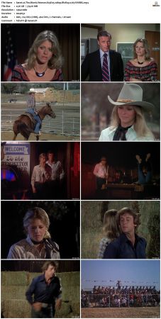 The Bionic Woman S03 1080p BluRay x265-RARBG