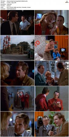 Quantum Leap S04 1080p WEB-DL DD2 0 H264-Mooi