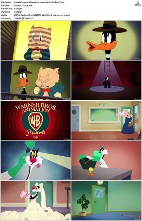 Looney Tunes Cartoons S01 REPACK XviD-AFG