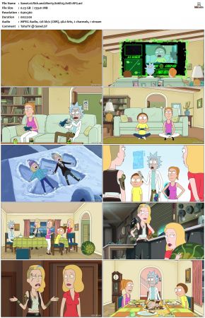 Rick and Morty S06E03 XviD-AFG