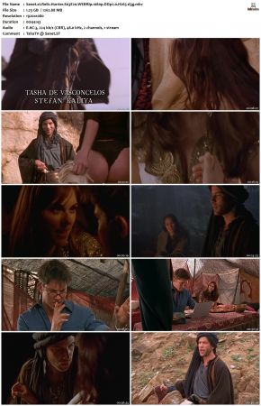 Relic Hunter S03 1080p WEBRip DDP2.0 H265-d3g