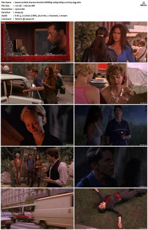 Relic Hunter S02 1080p WEBRip DDP2.0 H265-d3g