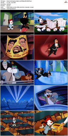 Animaniacs 1993 S03 DVDRip XviD-SAiNTS