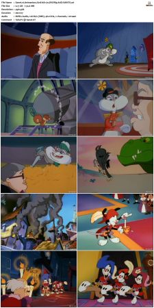 Animaniacs 1993 S01 DVDRip XviD-SAiNTS