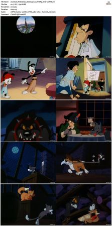 Animaniacs 1993 S01 DVDRip XviD-SAiNTS