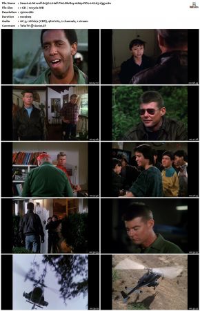 Airwolf S03 1080p BluRay DD2.0 H265-d3g