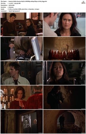 Relic Hunter S03 1080p WEBRip DDP2.0 H265-d3g