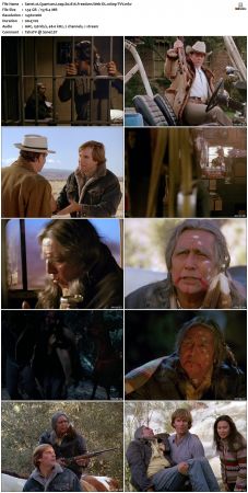 Quantum Leap S02 1080p WEB-DL AAC2.0 H264-TVV