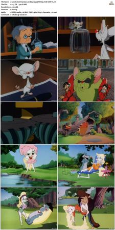 Animaniacs 1993 S01 DVDRip XviD-SAiNTS