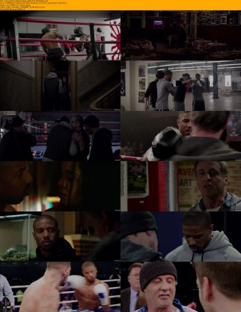 Rocky Collection 1080p BluRay H264 AC3-Will1869