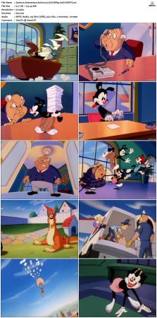 Animaniacs 1993 S01 DVDRip XviD-SAiNTS