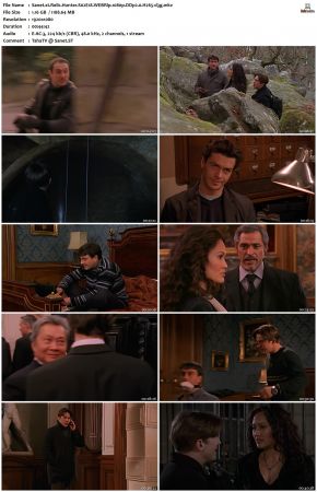 Relic Hunter S02 1080p WEBRip DDP2.0 H265-d3g