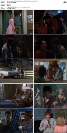 Quantum Leap S03 1080p WEB-DL DD20 H264-Mooi