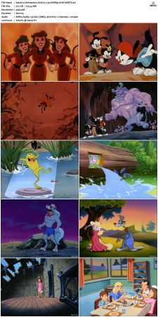 Animaniacs 1993 S01 DVDRip XviD-SAiNTS