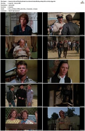 Airwolf S03 1080p BluRay DD2.0 H265-d3g