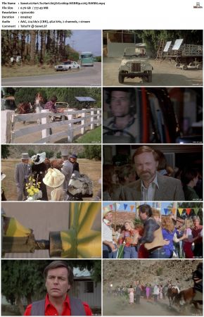 Hart To Hart S05 1080p WEBRip x265-RARBG