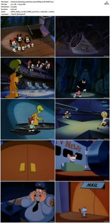 Animaniacs 1993 S01 DVDRip XviD-SAiNTS
