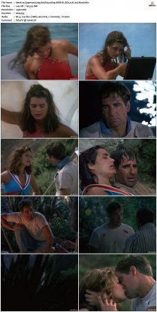 Quantum Leap S05 1080p WEB-DL DD2 0 H264-Mooi