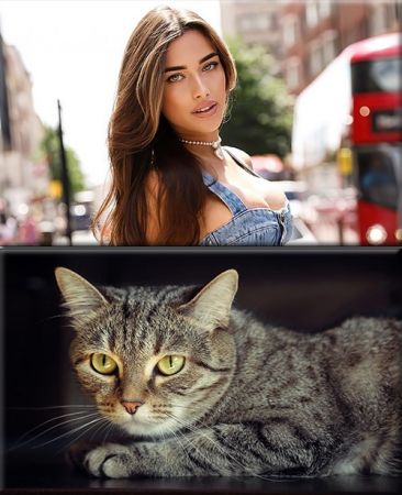 Classy Wallpapers (826)