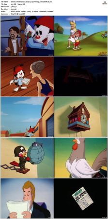 Animaniacs 1993 S04 DVDRip XviD-DEiMOS