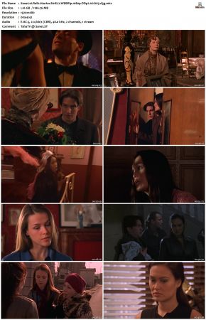 Relic Hunter S01 1080p WEBRip DDP2.0 H265-d3g