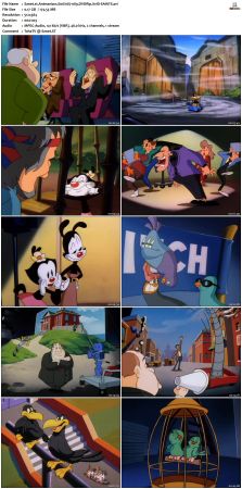 Animaniacs 1993 S01 DVDRip XviD-SAiNTS