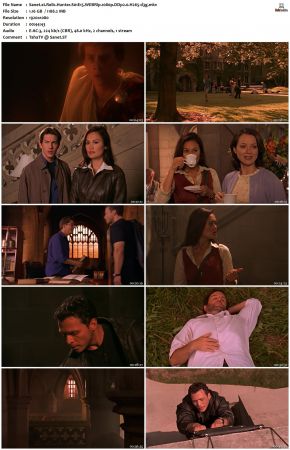 Relic Hunter S01 1080p WEBRip DDP2.0 H265-d3g
