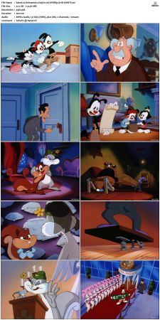 Animaniacs 1993 S03 DVDRip XviD-SAiNTS